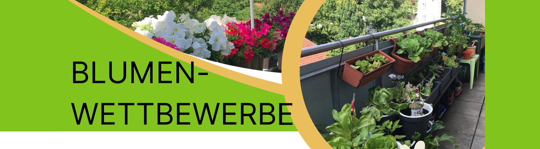 header_wettbewerbe